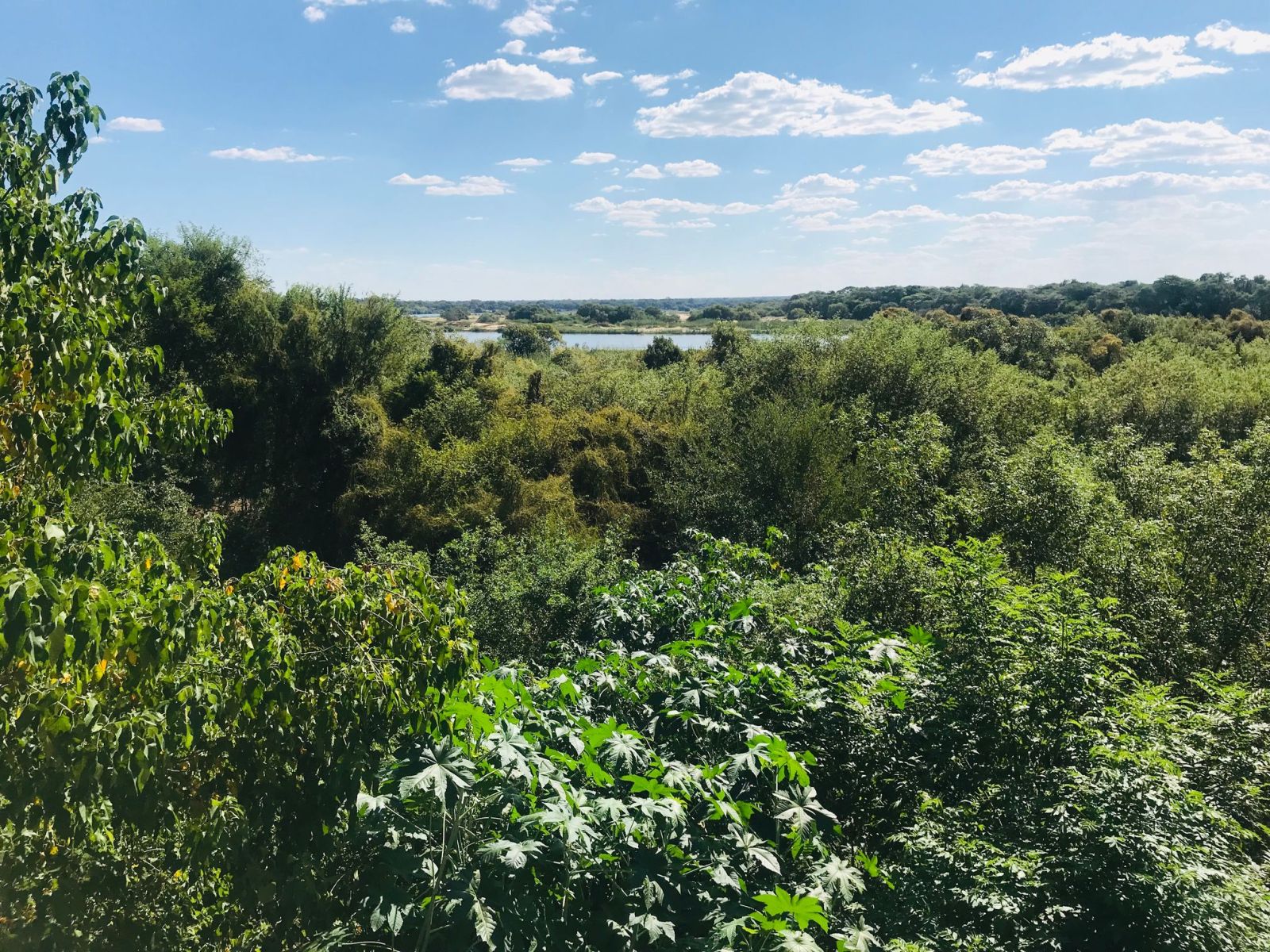 0-Zambezi-view-from-deck