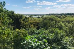 0-Zambezi-view-from-deck
